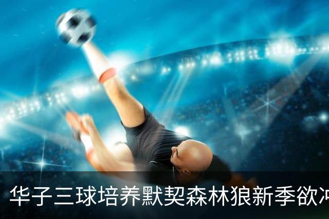 华子三球培养默契森林狼新季欲冲佳绩