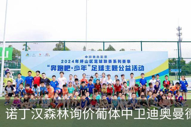 诺丁汉森林询价葡体中卫迪奥曼德 解约金条款6千8百万